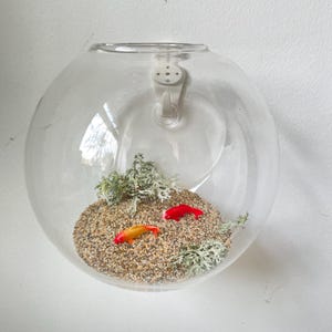 Mini-Glas-Wand-befestigtes Terrarium, Goldfischglas