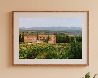 Stampa fotografica di un vigneto del monastero, Catalogna, Spagna (download digitale)