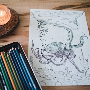 Molly Suzanne Co | Under the Sea | Octopus | Coloring Therapy | PDF File