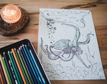 Molly Suzanne Co | Under the Sea | Octopus | Coloring Therapy | PDF File