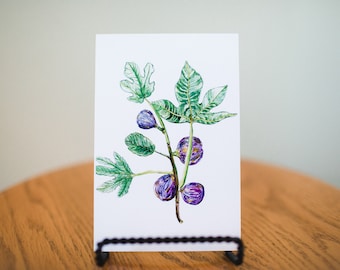 Molly Suzanne Co | Fig Print | Fig Stationary | Fig Postcard