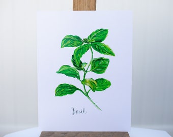 Molly Suzanne Co | Basil Botanical Print | 8x10