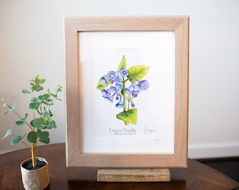 Molly Suzanne Co | Virginia Bluebell Botanical Print | 8x10 inches
