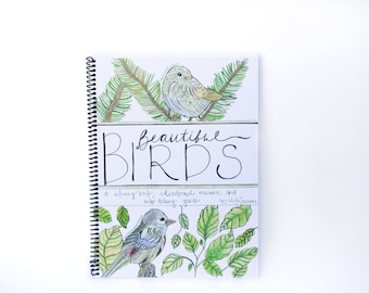 Molly Suzanne Co | Beautiful Birds Coloring Book | Adult Coloring Books