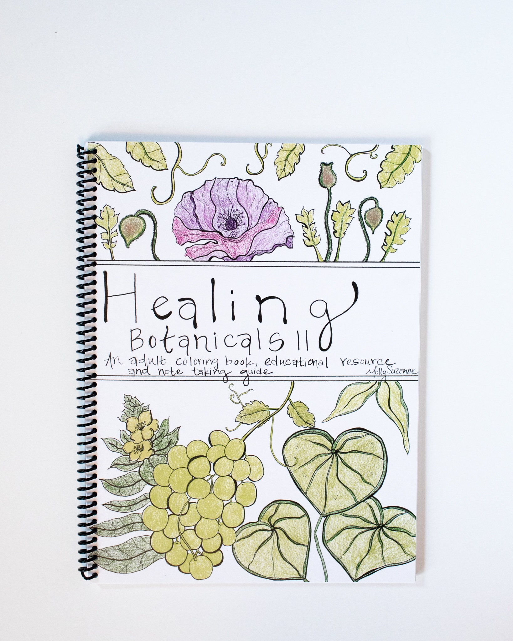 Molly Suzanne Co Healing Botanicals Adult Coloring Book Best Selling Book 