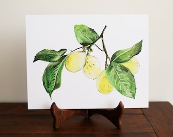 Molly Suzanne Co | Lemon Print | Botanical Print