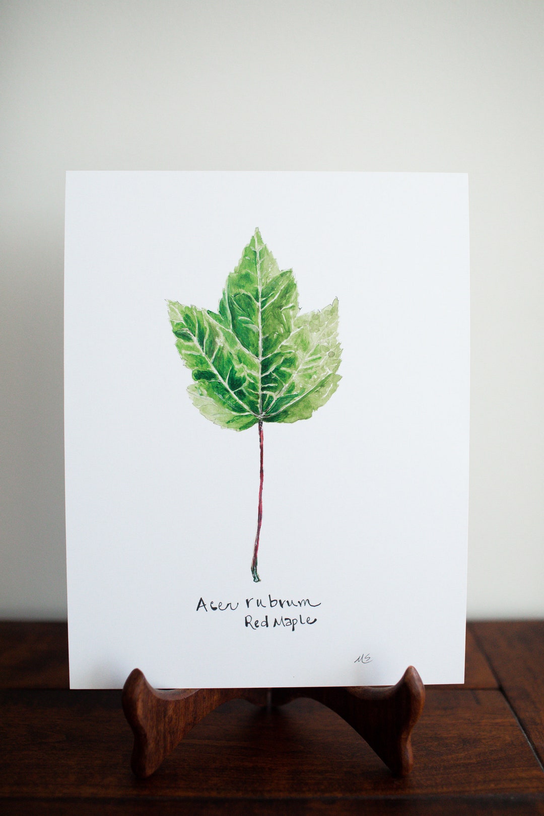 Print Maple Red Maple Print - Etsy