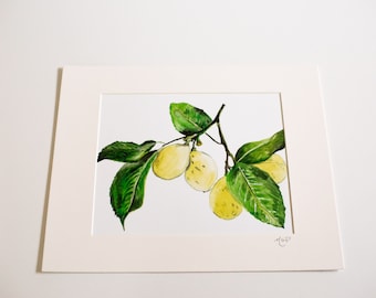 Molly Suzanne Co | 11x14 Lemon Botanical Print with single white matting