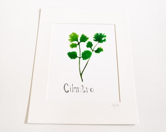 Molly Suzanne / 11x14 Cilantro Print con una sola estera blanca