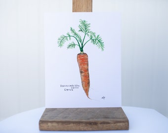 Molly Suzanne Co | Carrot Botanical Print | 8x10