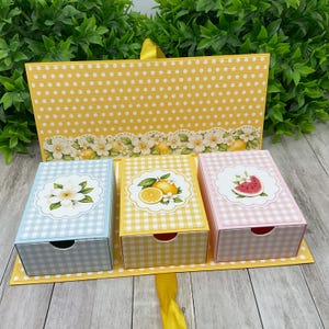 May include: A set of three rectangular storage boxes with pull-out drawers, featuring light blue, yellow, and pink gingham patterns. Each box has a decorative scalloped label with illustrations of a white flower, citrus fruit, and watermelon.