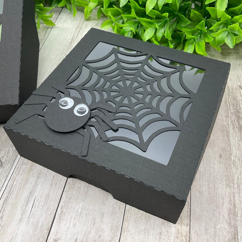 May include: Black cardboard box with a spider and spiderweb cut-out design. The box has a clear window to see inside.