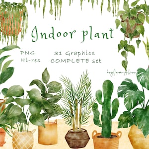 Imágenes prediseñadas de plantas de la casa, uso COMERCIAL GRATUITO, imágenes prediseñadas de plantas de interior, png de plantas, imágenes prediseñadas de plantas de bricolaje, imágenes prediseñadas de acuarela, png de cactus, png de monstera