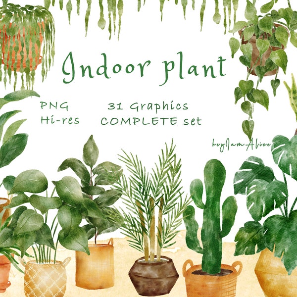 House plant clipart, FREE COMMERCIAL use, indoor plant clipart, plant png, DIY plant clipart, watercolor clipart, cactus png, monstera png