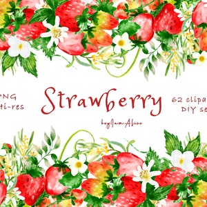 Aquarelle fraise Clipart, ensemble de bricolage, Fruit fraise ClipArt, utilisation COMMERCIALE GRATUITE, fruit clipart, décor fraise, png fraise rouge