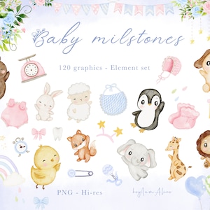 Baby Monthly Milestone Cliparts, Geburtstag Cliparts, Baby-Dusche-Geschenk, Tierbaby mit Ballons png, monatliches Wachstum Kunstwerke, Sublimation PNG