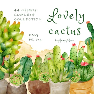 Imágenes prediseñadas de cactus de acuarela, uso COMERCIAL GRATUITO, planta de acuarela tropical, imágenes prediseñadas suculentas png, imágenes prediseñadas digitales png, planta del desierto png