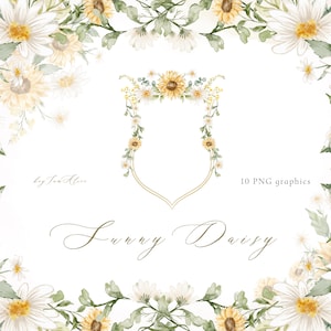 DAISY zonnebloem Bloemen aquarel clipart, zonnebloem grafische PNG, madeliefjebloem, kamille clipart, zonnebloem madeliefje afbeelding, sublimatie PNG