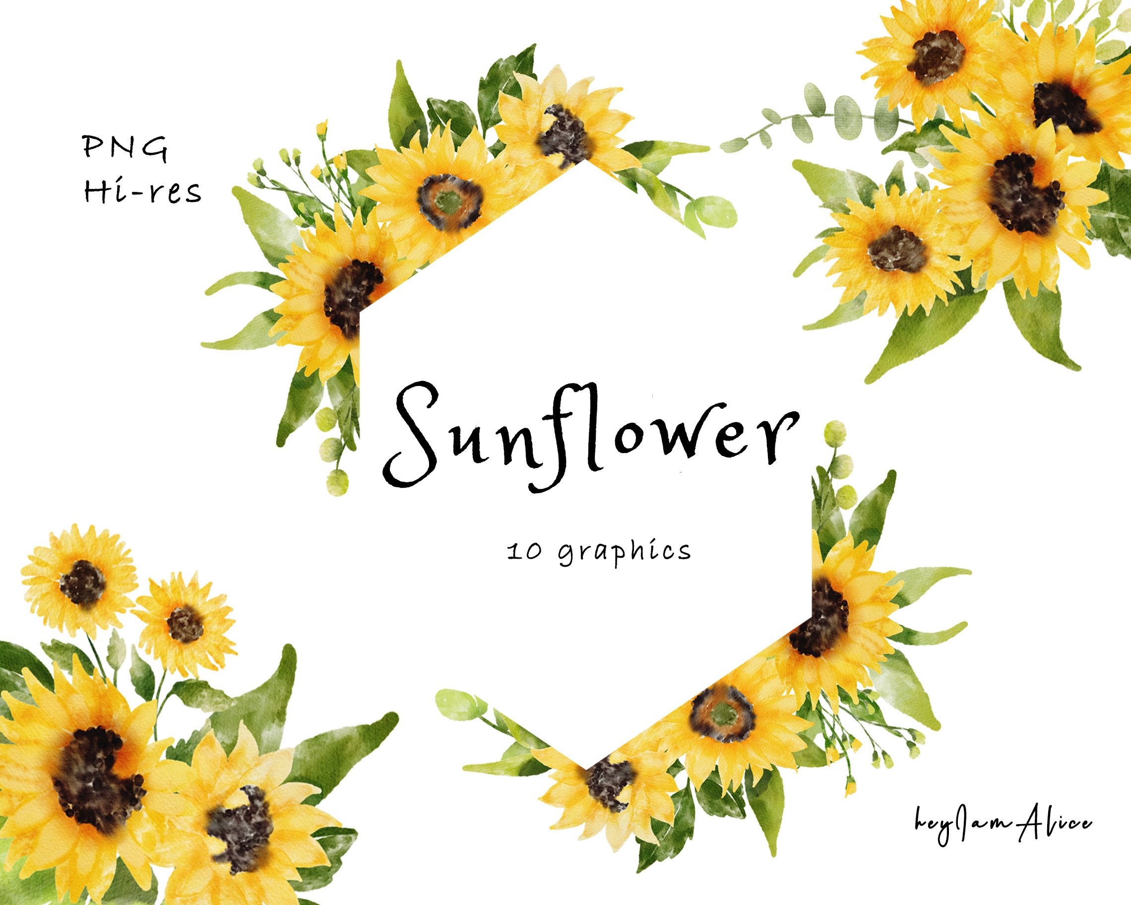Sunflower Watercolor Clipart FREE Commercial Usegreenery Etsy