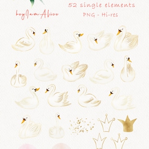 May include: A set of 52 watercolor illustrations featuring white swans in various poses, including swans swimming, swans with their necks curved, and swans with their wings spread. The set also includes gold crowns, gold glitter, and pink watercolor eggs.