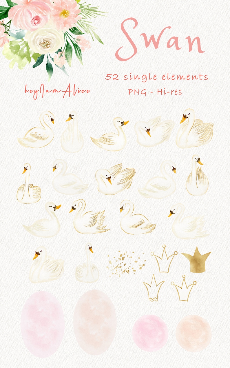 May include: A set of 52 watercolor illustrations featuring white swans in various poses, including swans swimming, swans with their necks curved, and swans with their wings spread. The set also includes gold crowns, gold glitter, and pink watercolor eggs.