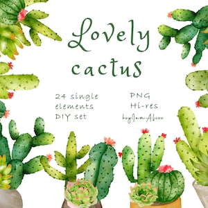 Imágenes prediseñadas de cactus de acuarela, uso COMERCIAL GRATUITO, planta de acuarela tropical, imágenes prediseñadas suculentas png, imágenes prediseñadas digitales png, planta del desierto png