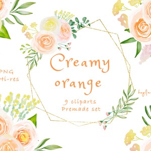 Creamy oranges watercolor clipart,free commercial use,greenery clipart, wedding DIY, commercial use graphic, commercial border, png digital