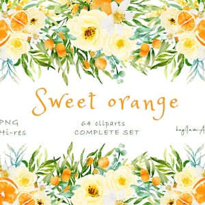 Watercolor Orange Clipart, Fruit Citrus orange ClipArt, FREE COMMERCIAL use, fruit clipart, orange decor, orange bouquet PNG, summer fruit