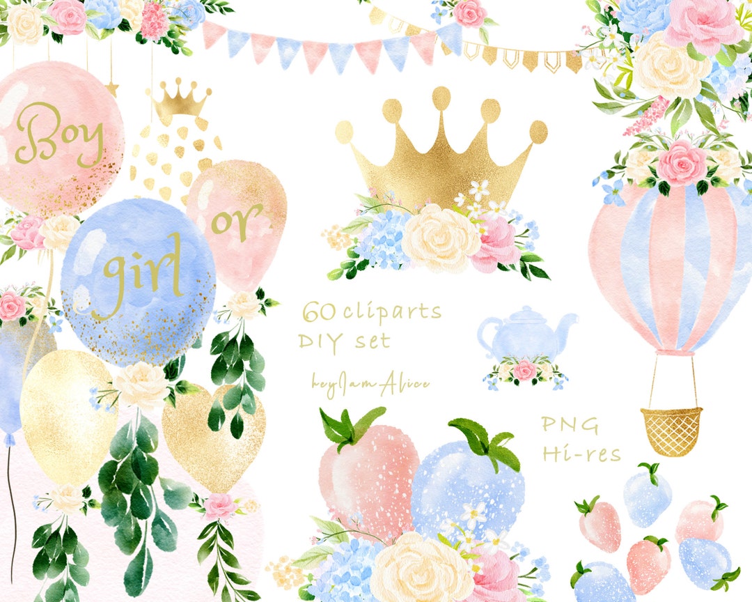 Boy or Girl, It's a Boy, It's a Girl Watercolor Clipart, Gender Reveal ...