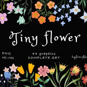 Clipart de flores silvestres, uso COMERCIAL GRATUITO, coleção COMPLETA, clipart colorido, clipart de flores doodle, gráfico de uso comercial