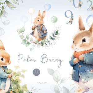 Peter Hase Clipart, Baby Peter Hase PNG, Waldtier Clipart, süße Kinderzimmer Kunst, Sublimationsdesign, Osterhase, printable für Kind