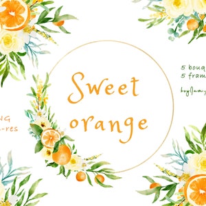 Watercolor Orange Clipart,  Fruit Citrus orange ClipArt, FREE COMMERCIAL use, fruit clipart, orange decor, orange bouquet PNG, summer fruit