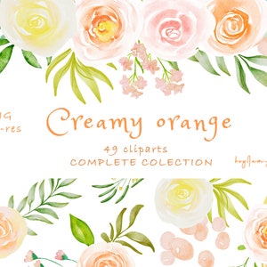 Creamy orange watercolor clipart,free commercial use,greenery clipart, wedding DIY, commercial use graphic, commercial border, png digital