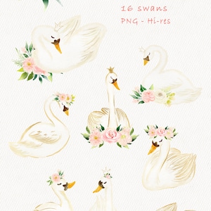 May include: A set of 16 digital illustrations of white swans with gold accents and floral crowns. The swans are in various poses, some with their wings spread and others with their heads held high. The flowers are pink, white, and green. The text "Swan" and "16 swans PNG - Hi-res" is written in pink at the top of the image. The text "keyJam Alice" is written in pink at the bottom of the image.