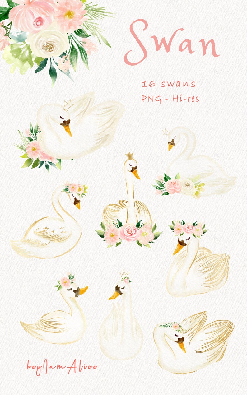 May include: A set of 16 digital illustrations of white swans with gold accents and floral crowns. The swans are in various poses, some with their wings spread and others with their heads held high. The flowers are pink, white, and green. The text "Swan" and "16 swans PNG - Hi-res" is written in pink at the top of the image. The text "keyJam Alice" is written in pink at the bottom of the image.