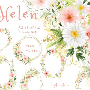 DAISY Floral watercolor clipart, white pink floral, FREE commercial use, daisy frame, chamomile flower clipart, sunflower coral pink graphic