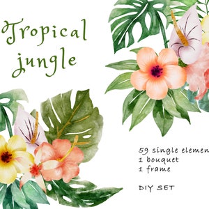 DIY set tropische jungle bloem aquarel clipart, gratis commercieel gebruik, tropisch palmverlof, commercieel gebruik grafisch, zomer clipart, png