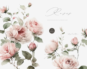 Pink ROSE flower watercolor clipart, soft pink floral PNG, watercolor bouquet, wedding clipart, sublimation design PNG, blush floral frame