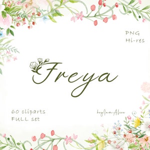 Clipart de aquarela de flores silvestres de primavera, gráfico floral pastel de primavera PNG, clipart colorido, flor minúscula e fofa PNG, design de sublimação PNG