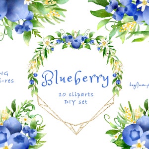 Watercolor Blueberry Clipart, wild blueberry ClipArt png, FREE COMMERCIAL use PNG, fruit clipart, blueberry decor, purple berry graphic png