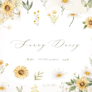 DAISY tournesol Floral aquarelle clipart, graphique de tournesol PNG, fleur de marguerite, clipart de camomille, graphique de marguerite de tournesol, sublimation PNG