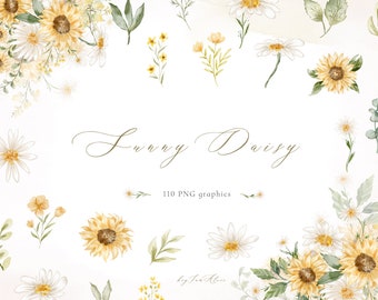 DAISY sunflower Floral watercolor clipart, sunflower graphic PNG, daisy flower, chamomile clipart, sunflower daisy graphic, sublimation PNG