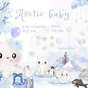 Clipart acquerello animale artico, grafica per le vacanze invernali, cucciolo di orso polare PNG, simpatico animaletto invernale, PNG animale settentrionale, pinguini, foca