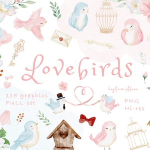 Clipart de pássaros do amor PNG, clipart aquarela dos namorados PNG, gráfico de casal PNG, clipart romântico de amor, design de sublimação png, clipart de casamento