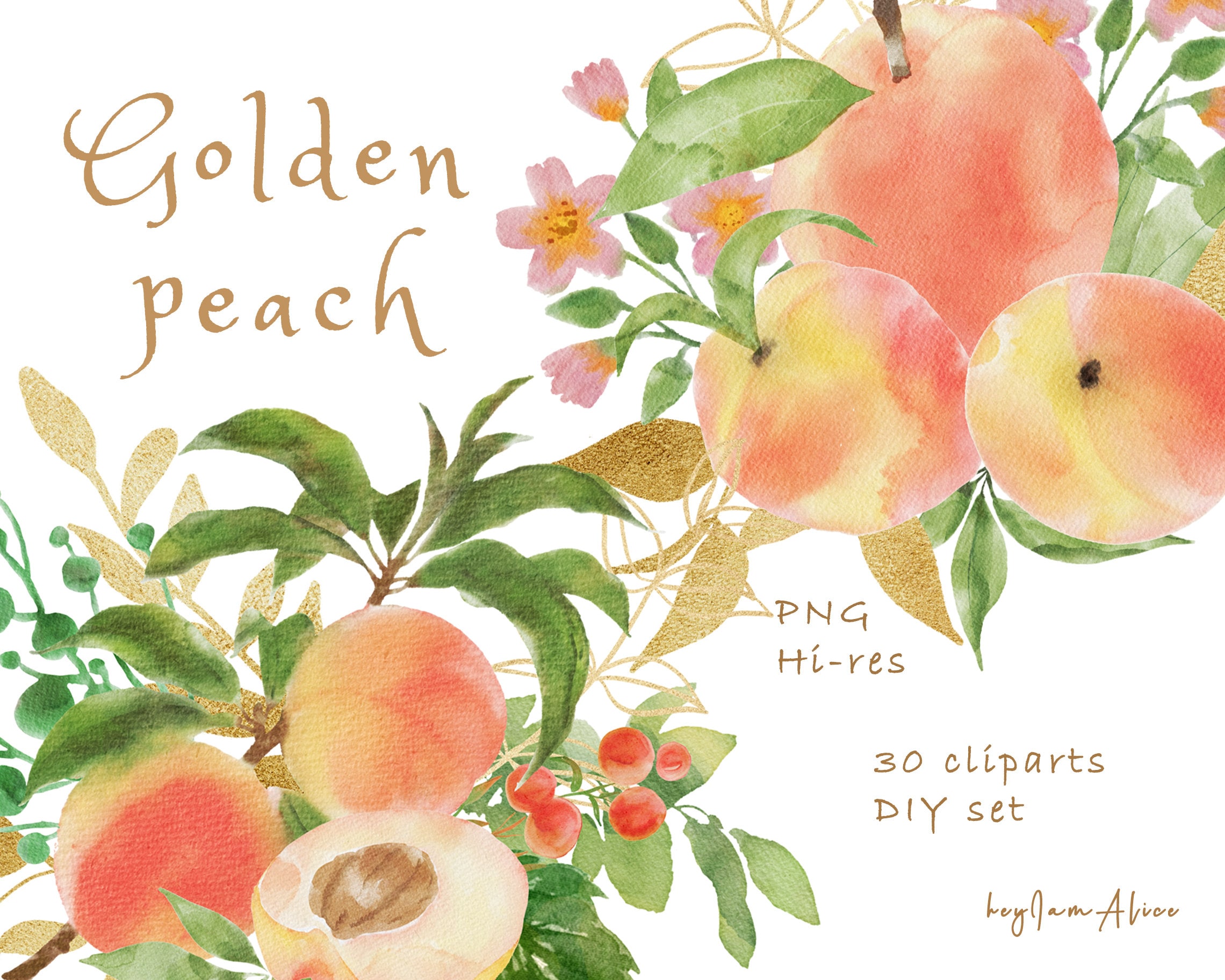 Free Peach Clipart Border
