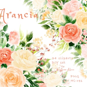 Creamy orange flower watercolor clipart, free commercial use, greenery clipart, wedding clipart, orange floral PNG, nursery floral graphic