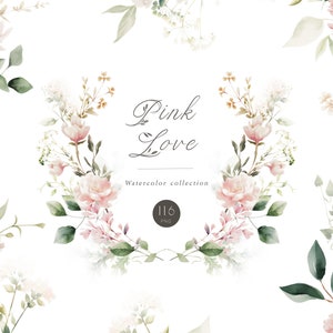 Clipart acquerello fiore morbido sbocciato, elegante rosa cipria floreale PNG, invito floreale png, grafica bouquet di fiori PNG, design a sublimazione