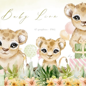 Dschungel Aquarell Tier Clipart, Baby Löwe, Safari Baby-Dusche, wilde Tier Grafik, Sublimation PNG, Löwe Grafik PNG, Löwenjunges Dschungel