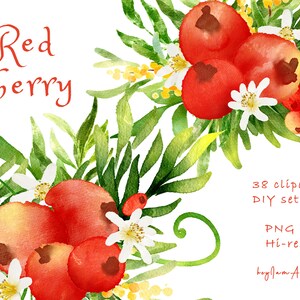 Watercolor red berry Clipart, wild red berry ClipArt png, FREE COMMERCIAL use, fruit clipart png, wild berry decor, red berry graphic png