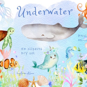 Onderwater clipart, aquarel zeedieren clipart, GRATIS COMMERCIEEL gebruik, kinderkamer clipart, vrienden van zeemeermin PNG, octopus, zeester, schildpad
